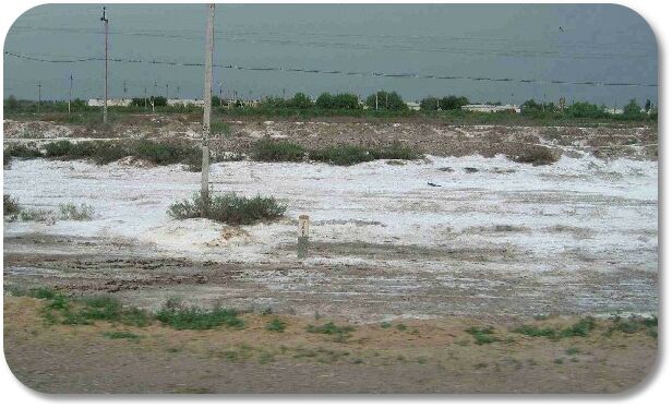 salinity